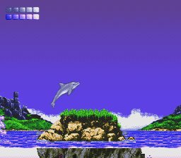 Ecco the Dolphin